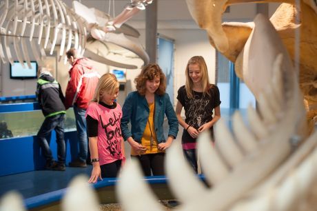 Natuurcentrum - VVV Ameland