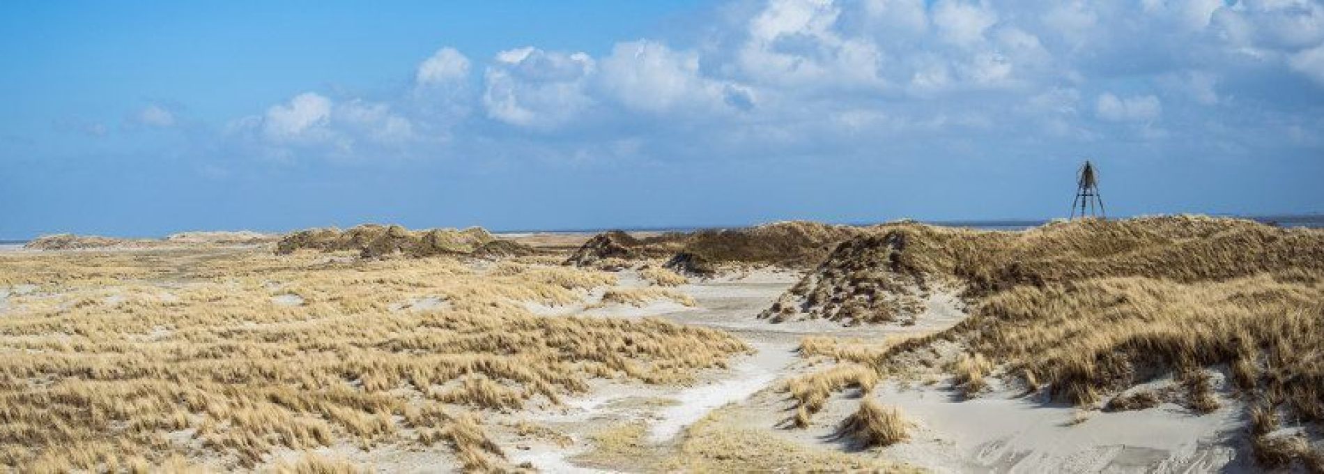 Veelgestelde vragen over annuleren - VVV Ameland