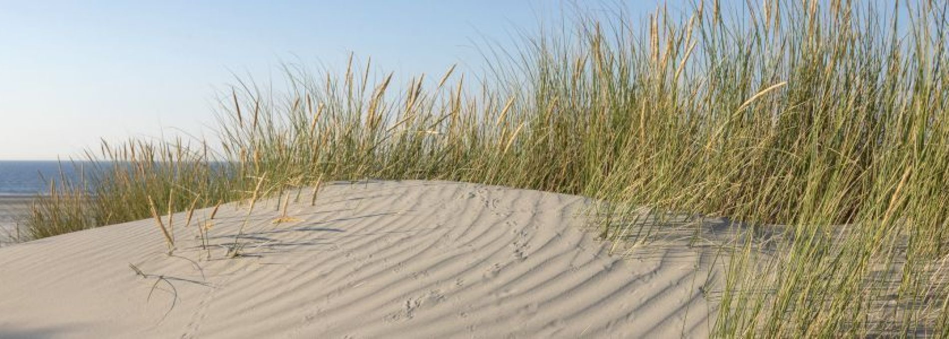 Veelgestelde vragen over activiteiten en evenementen op Ameland - VVV Ameland