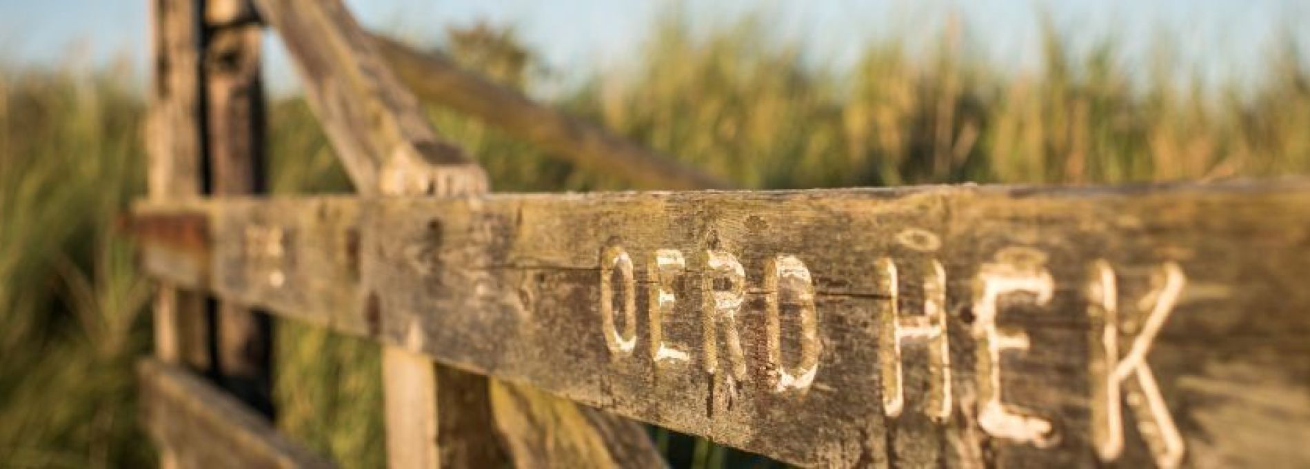 Veelgestelde vragen over vervoer op en naar Ameland - VVV Ameland