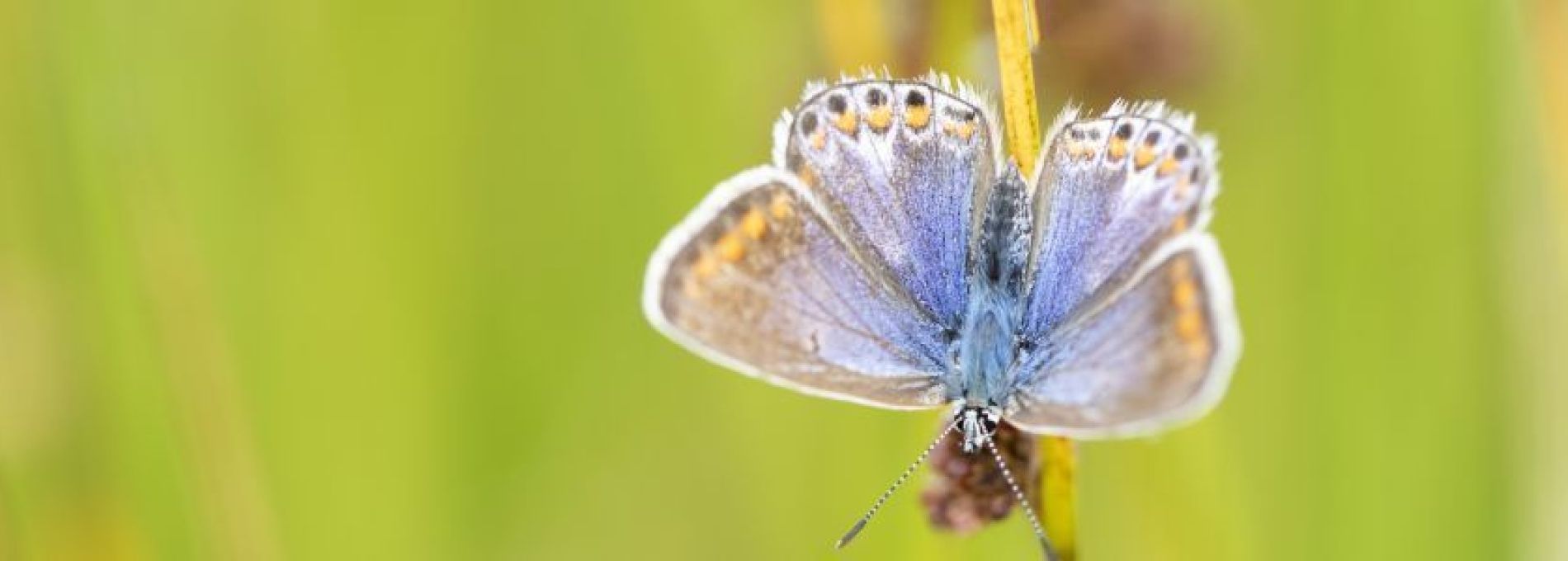 Veelgestelde vragen annuleren - VVV Ameland