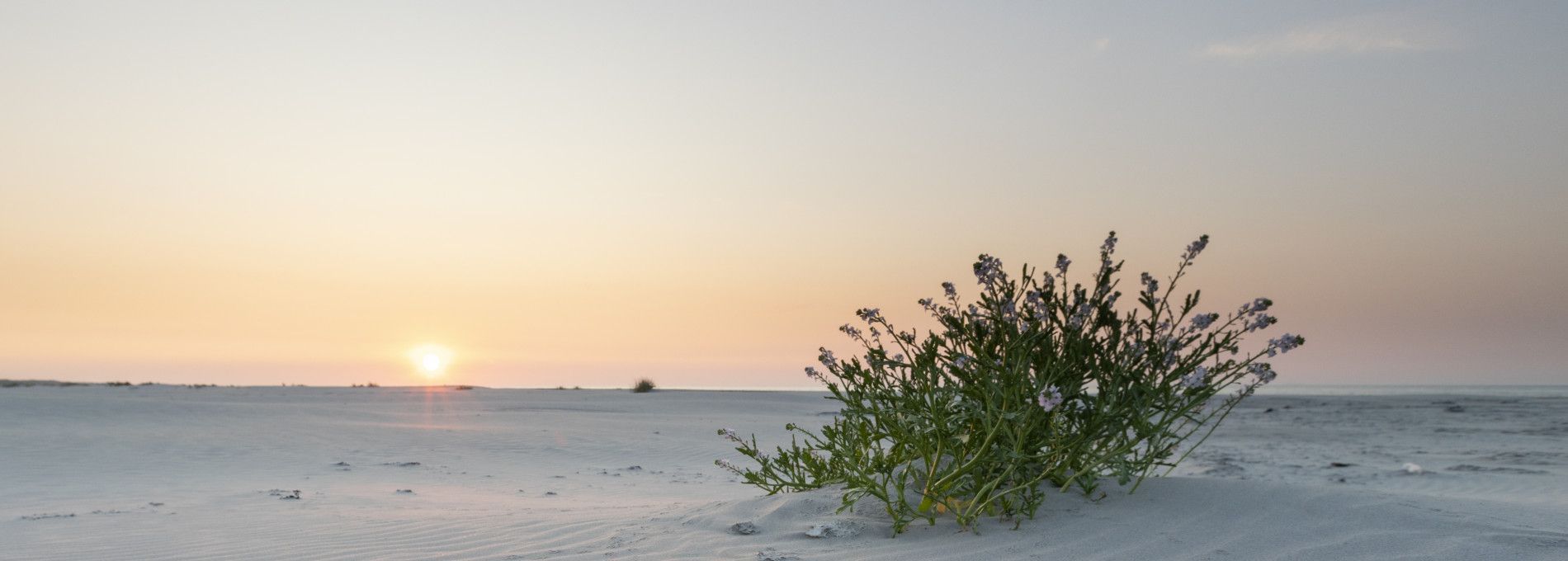 Caravans Ballum - VVV Ameland