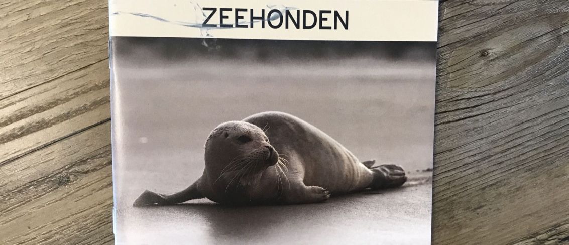Zeehonden, dieren van de Waddenzee - webshop VVV Ameland