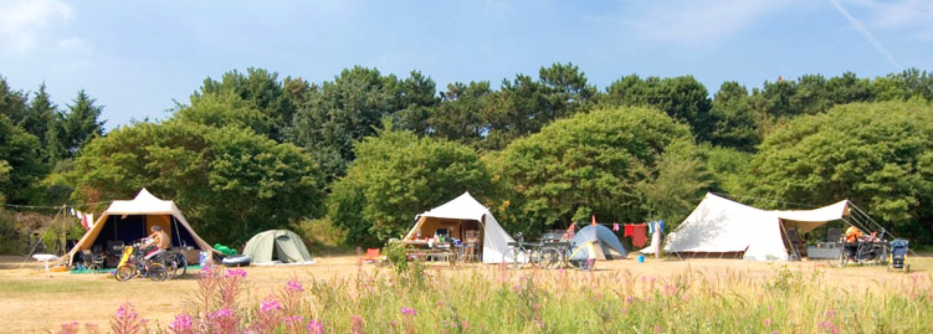 Kamperen op Ameland - VVV Ameland