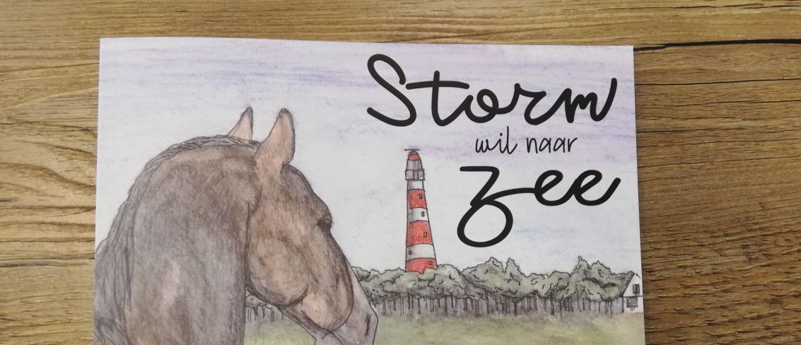 Storm wil naar Zee - webshop VVV Ameland