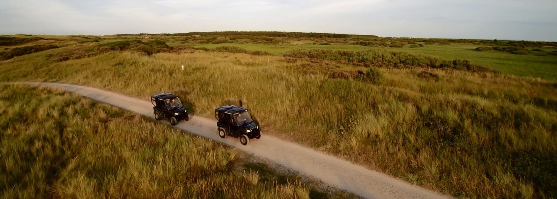 Ecosafari paal 17 - VVV Ameland