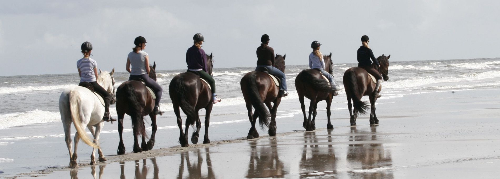 Rijstal 't Jutterspad - VVV Ameland