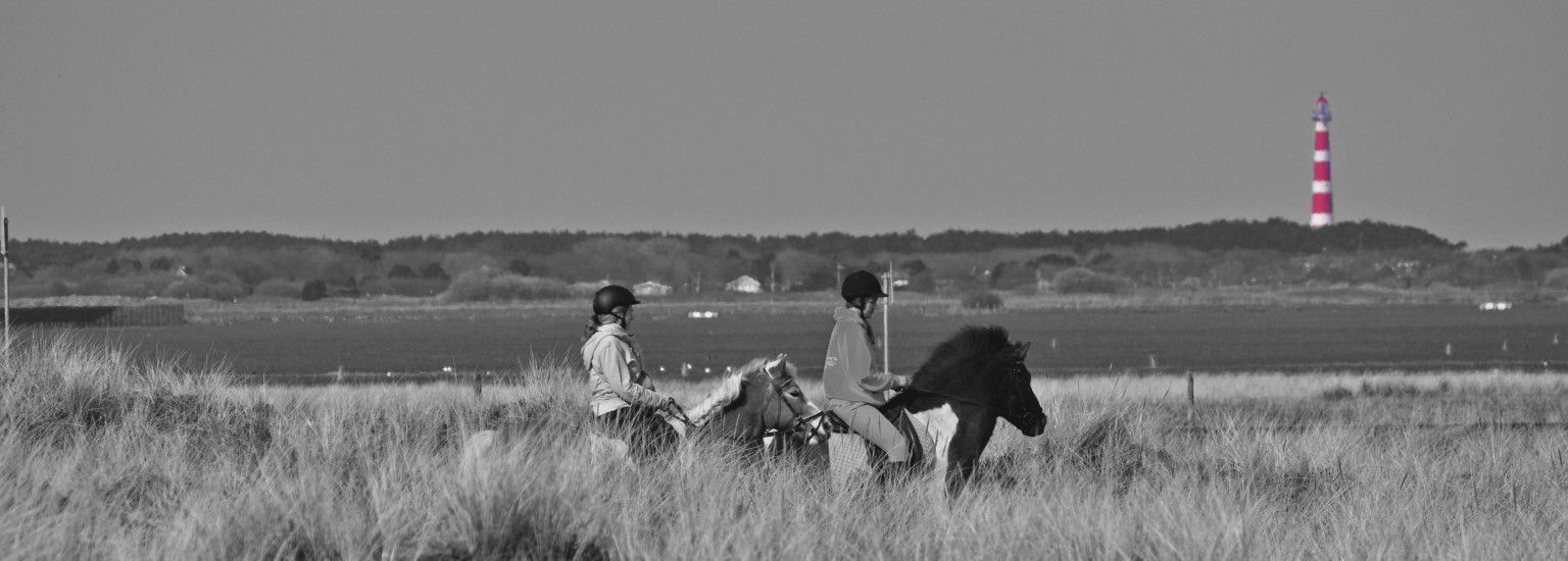 Rijstal Le Cheval - VVV Ameland