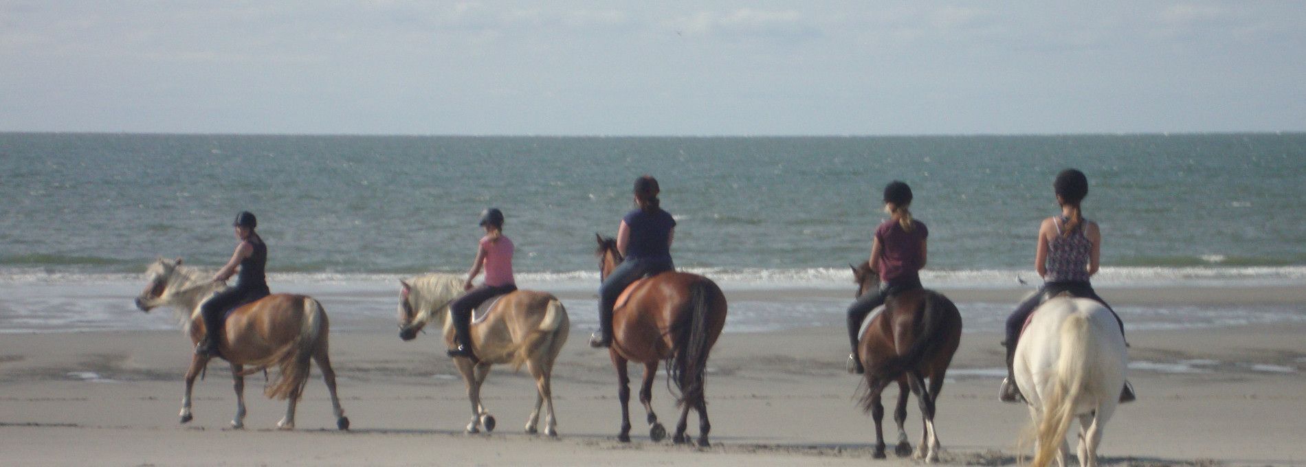 De Hollumer Trap - VVV Ameland