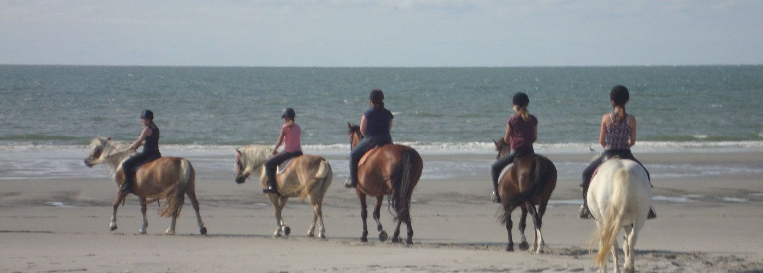 De Hollumer Trap - VVV Ameland