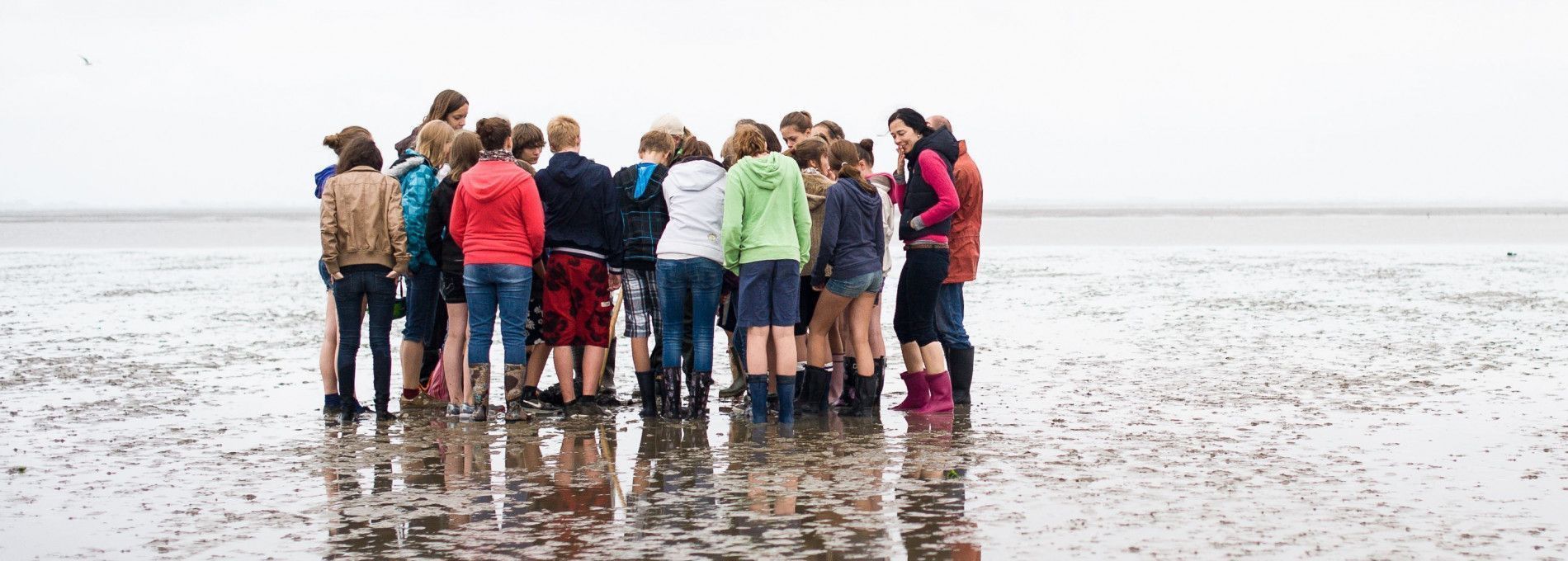 Wadexcursie - VVV Ameland