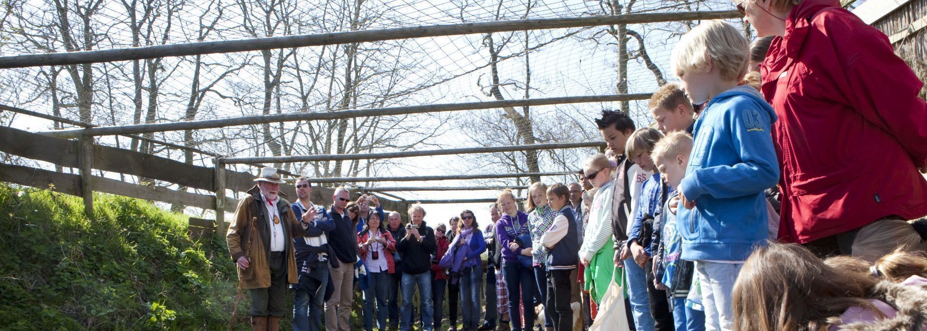 Eendenkooi excursie - VVV Ameland