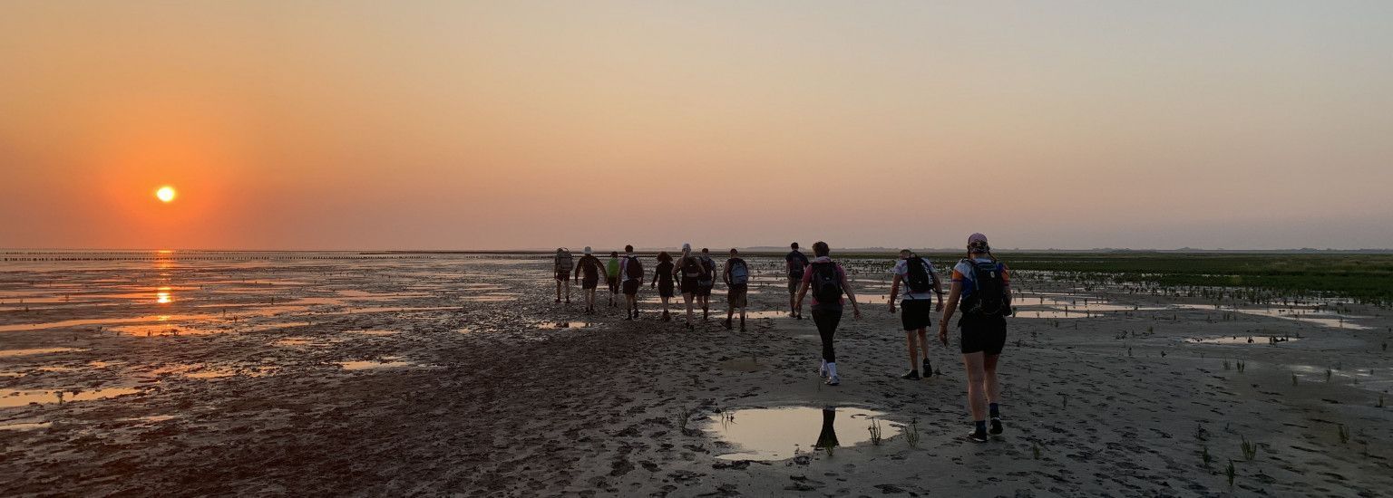 Wadzwerftocht - VVV Ameland