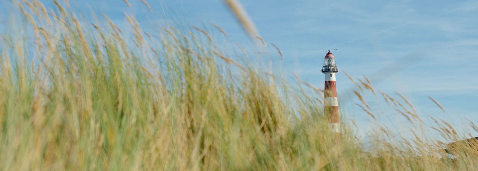 Dagarrangement Ameland - VVV Ameland 