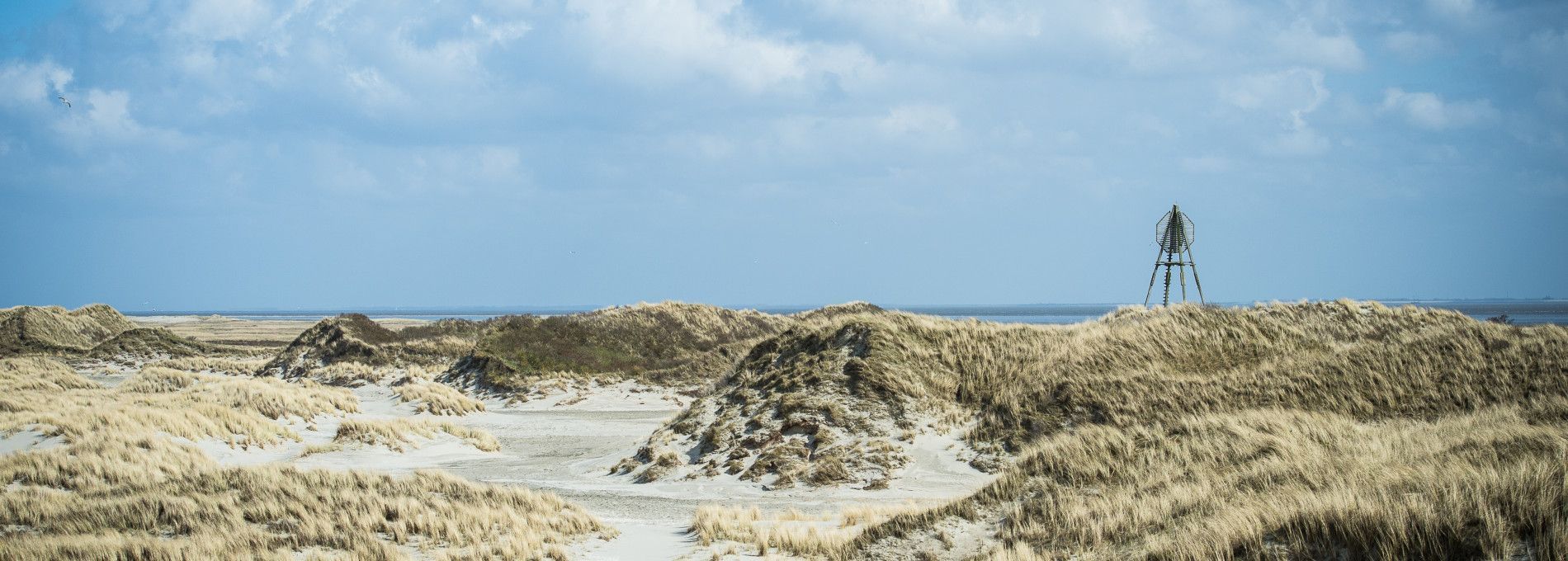 Disclaimer - VVV Ameland