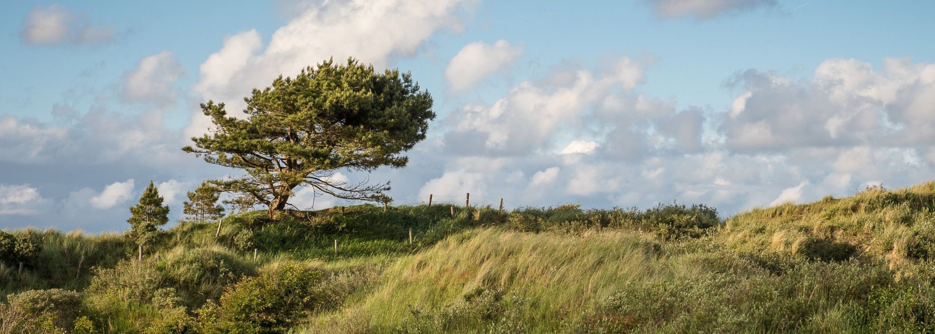 Privacy - VVV Ameland