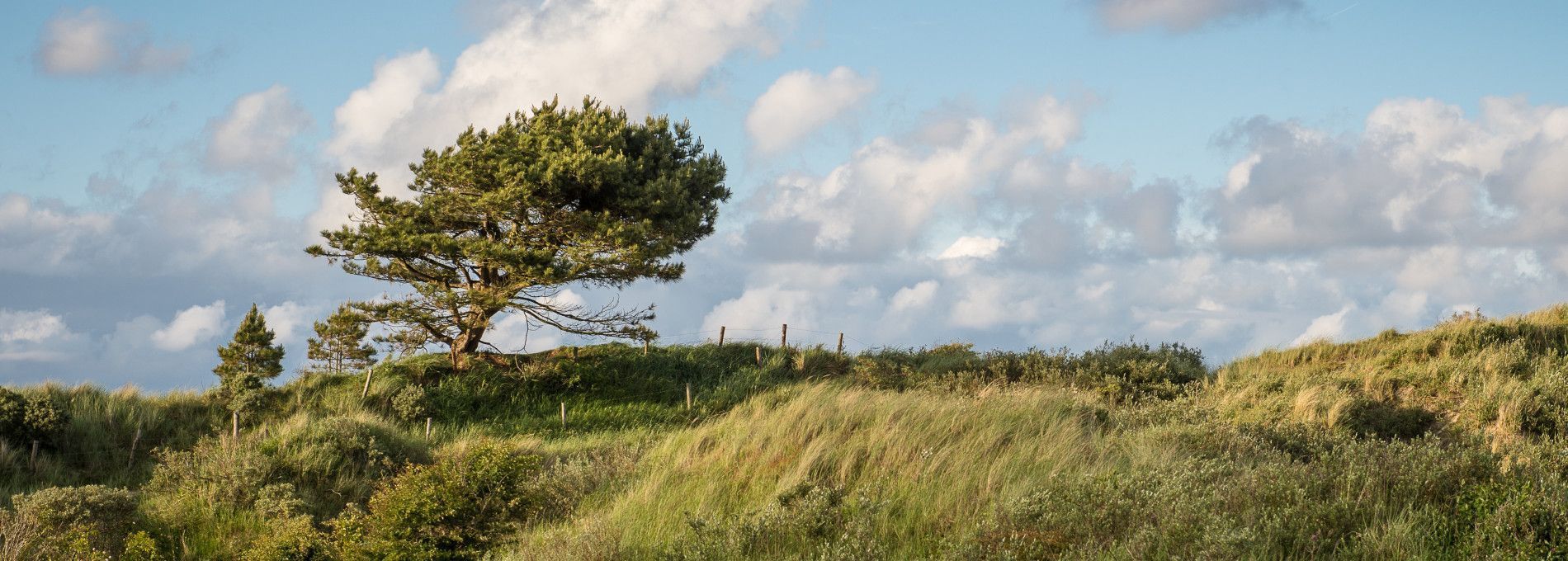 Privacy -  VVV Ameland