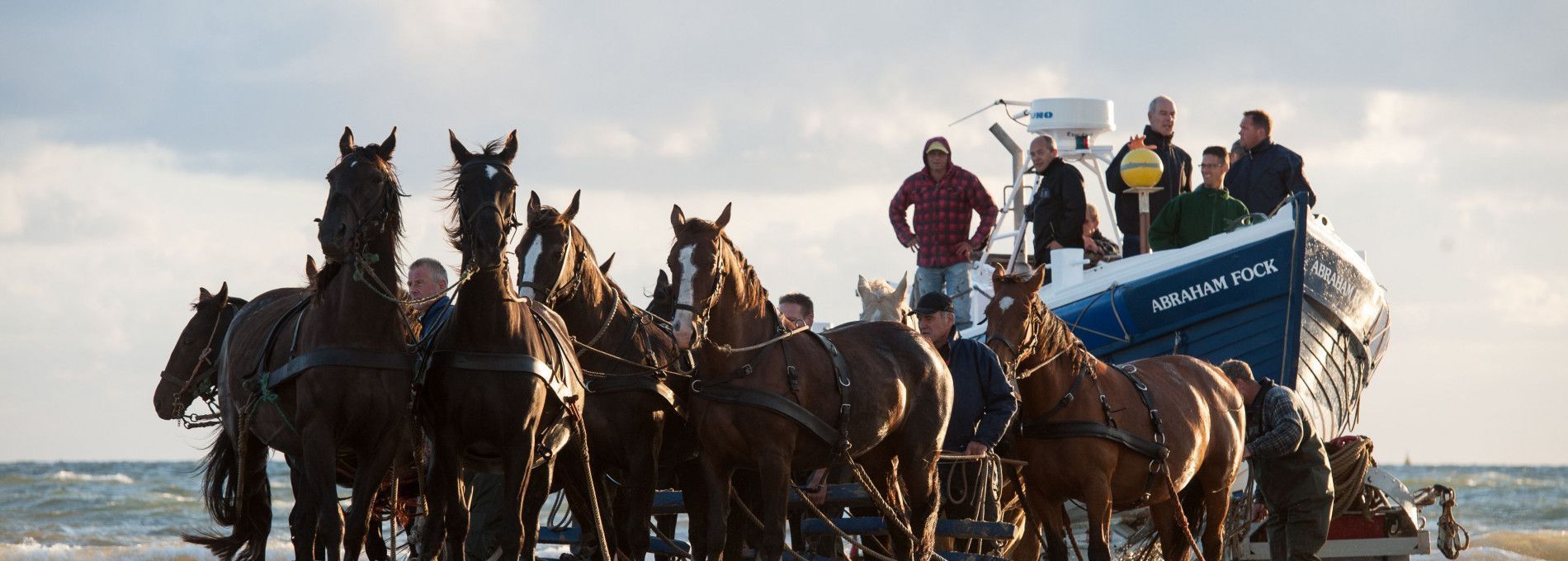 Demonstratie paardenreddingboot - VVV Ameland