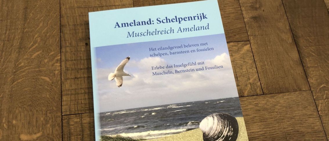 Ameland: schelpenrijk - webshop VVV Ameland