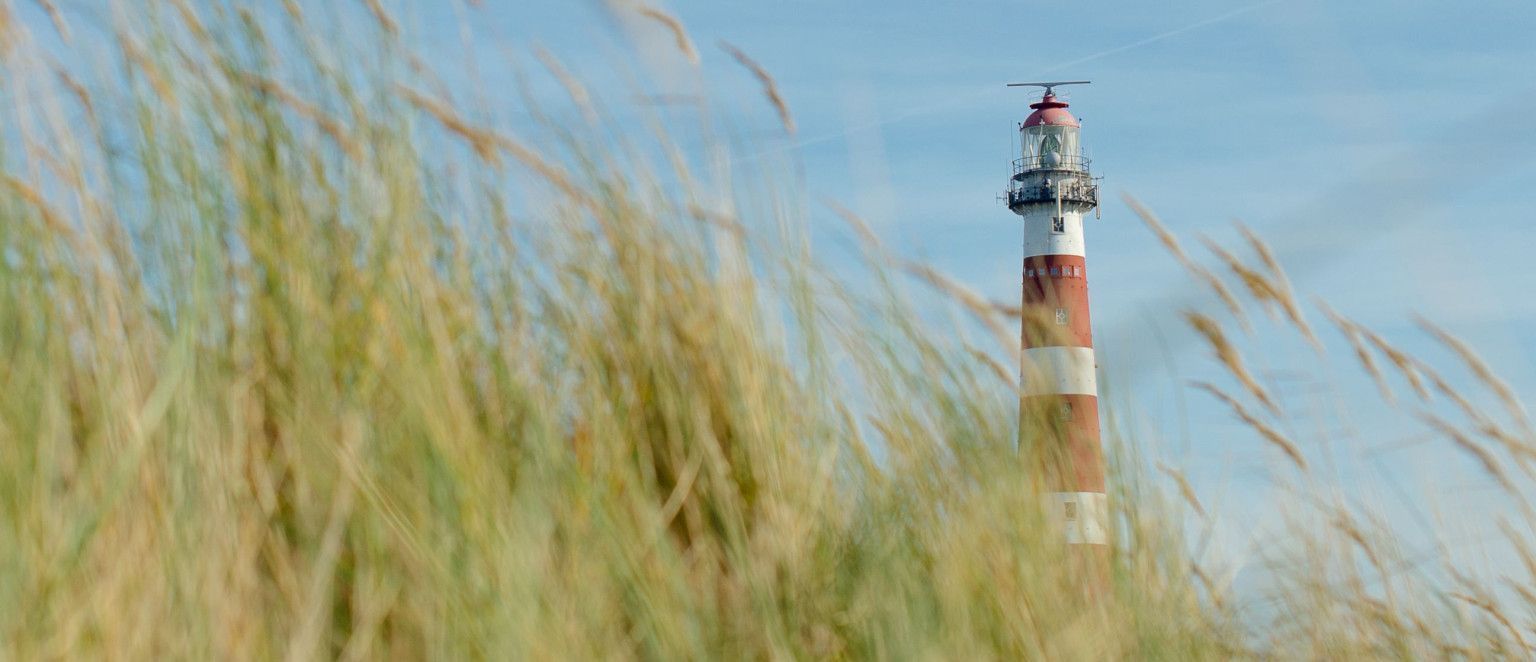 Dagarrangement Ameland - webshop VVV Ameland