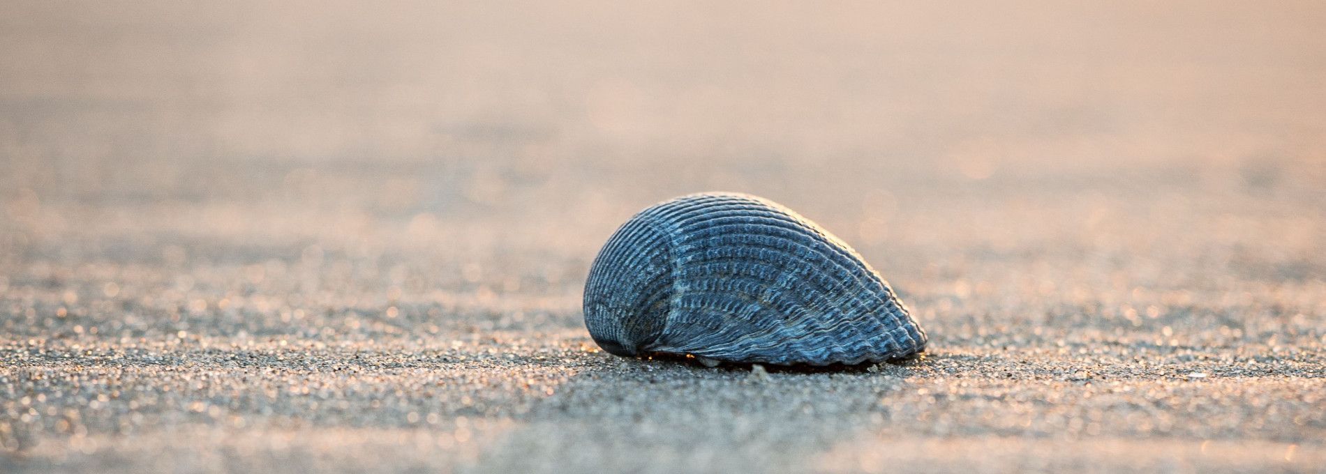 Drogisterij Parfumerie Kienstra - VVV Ameland