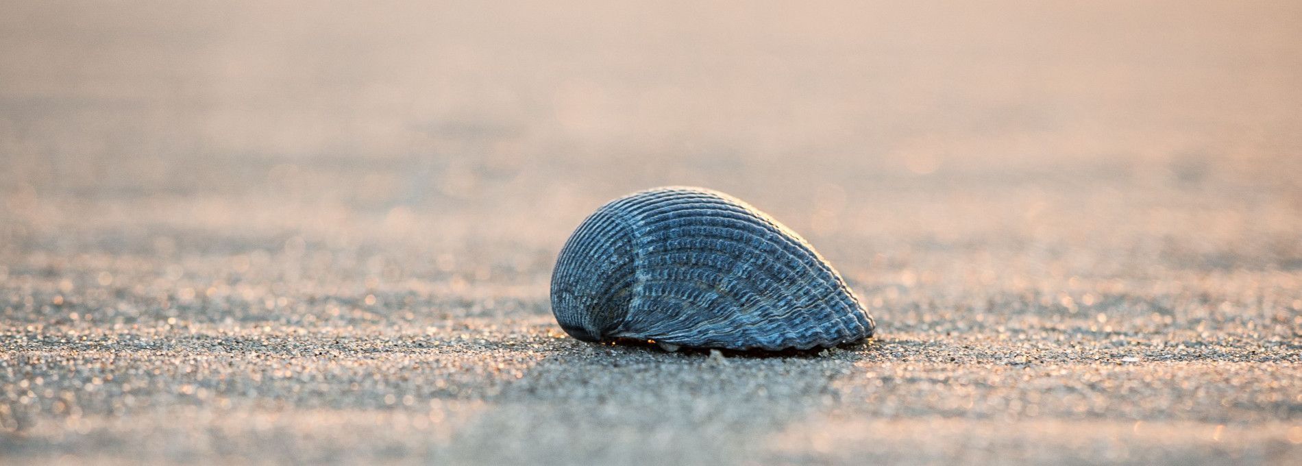 Radio Boelens - VVV Ameland