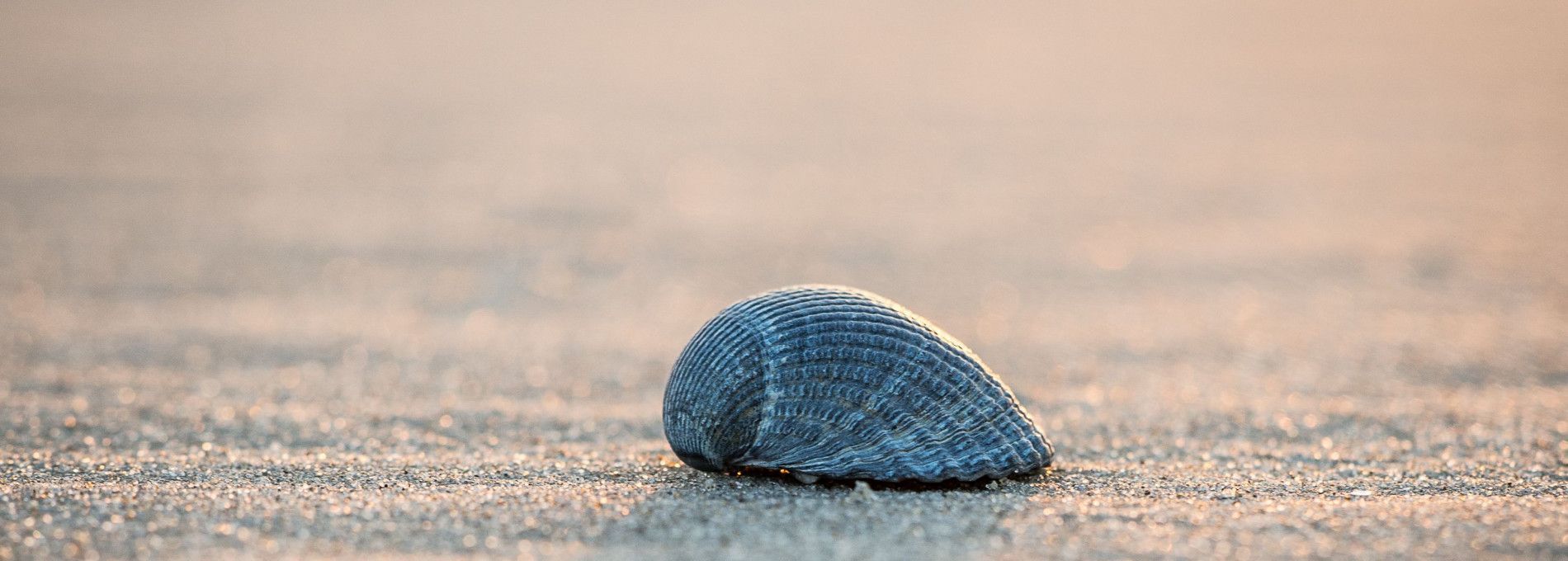 Drogisterij Parfumerie Kienstra - VVV Ameland