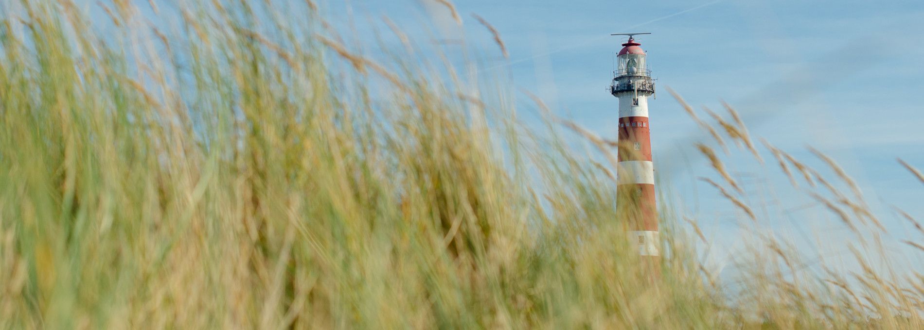 Amelands Produkt - VVV Ameland