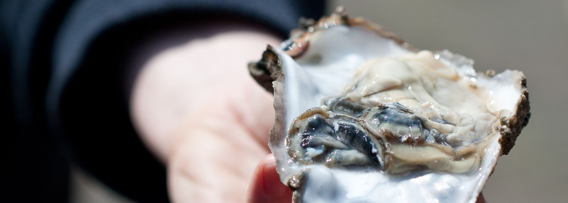 Amelander oesters, harderfilet en zeebaars - Amelands Produkt - VVV Ameland