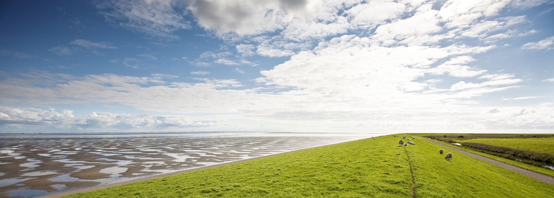 Taxivervoer - VVV Ameland