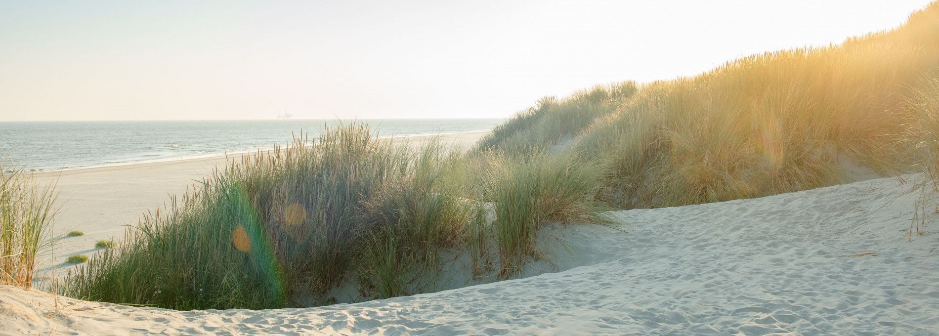 Ameland - Schiermonnikoog eiland- en waddenhoppen - VVV Ameland