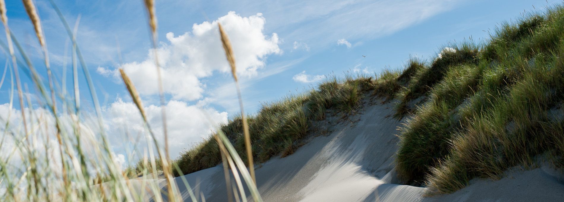 Bekijk onze nieuwsbrieven - VVV Ameland