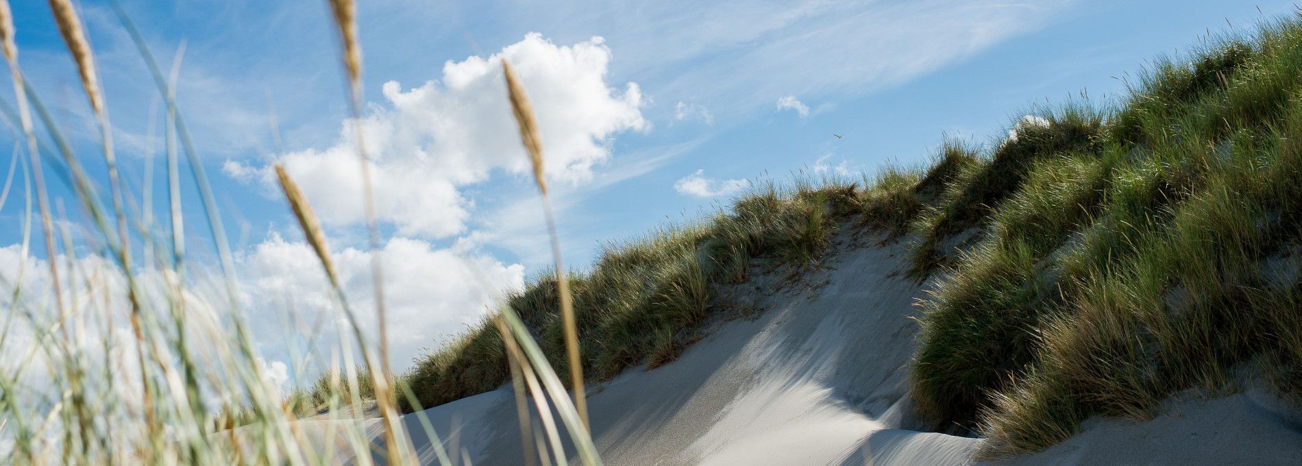 Vakantiehuizen Hollum 5-6 personen - VVV Ameland