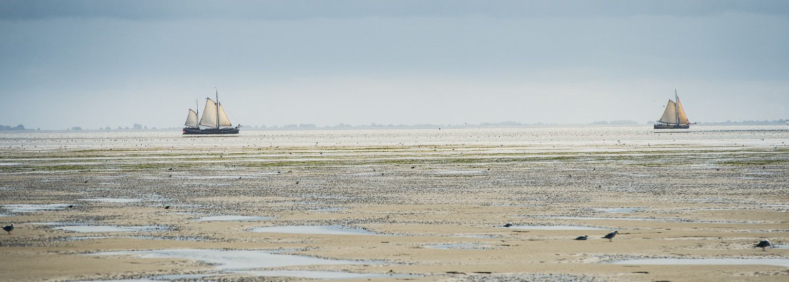 Buurder Steiger - VVV Ameland