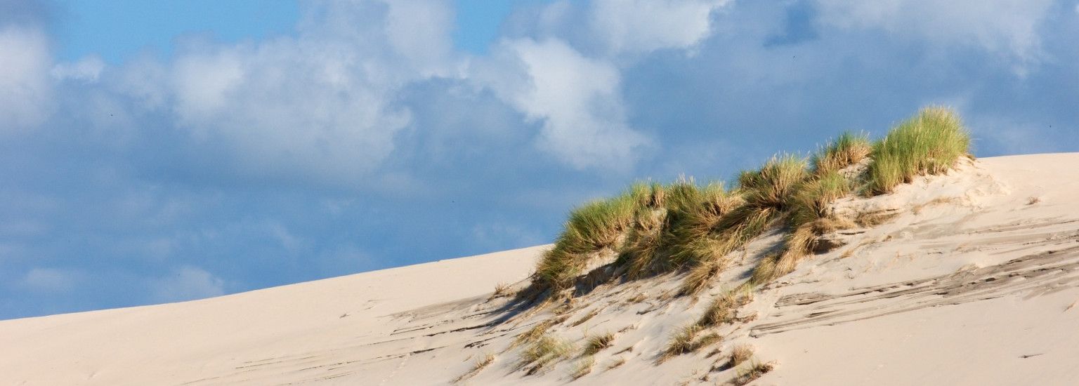 Dagje Ameland: Eilandgevoel in één dag - Boot van en naar Ameland - VVV Ameland