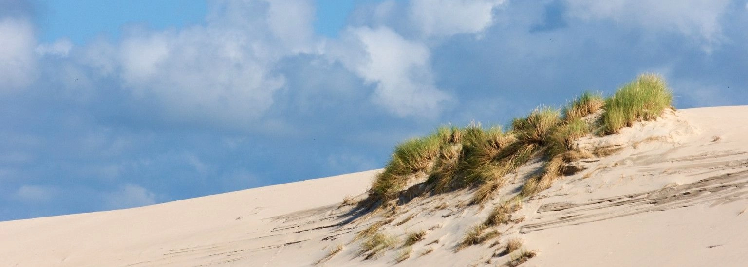 Dagje Ameland: Eilandgevoel in één dag - VVV Ameland