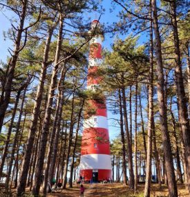 Dagje Ameland - VVV Ameland