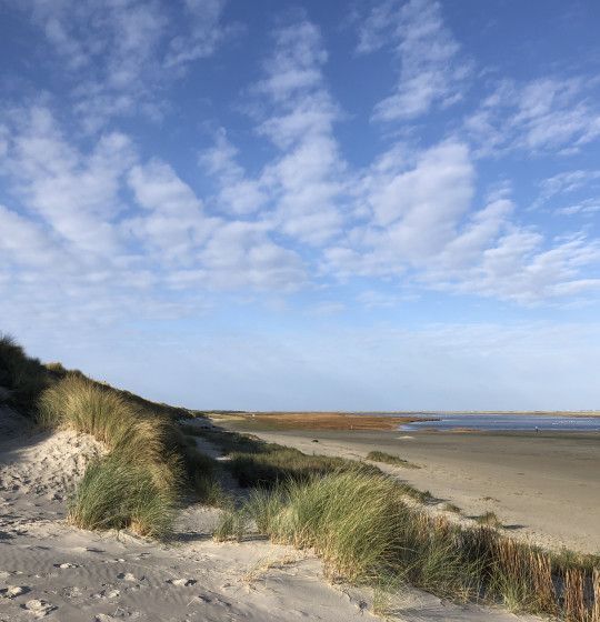 Groene strand - VVV Ameland