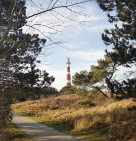 Dagje Ameland - VVV Ameland