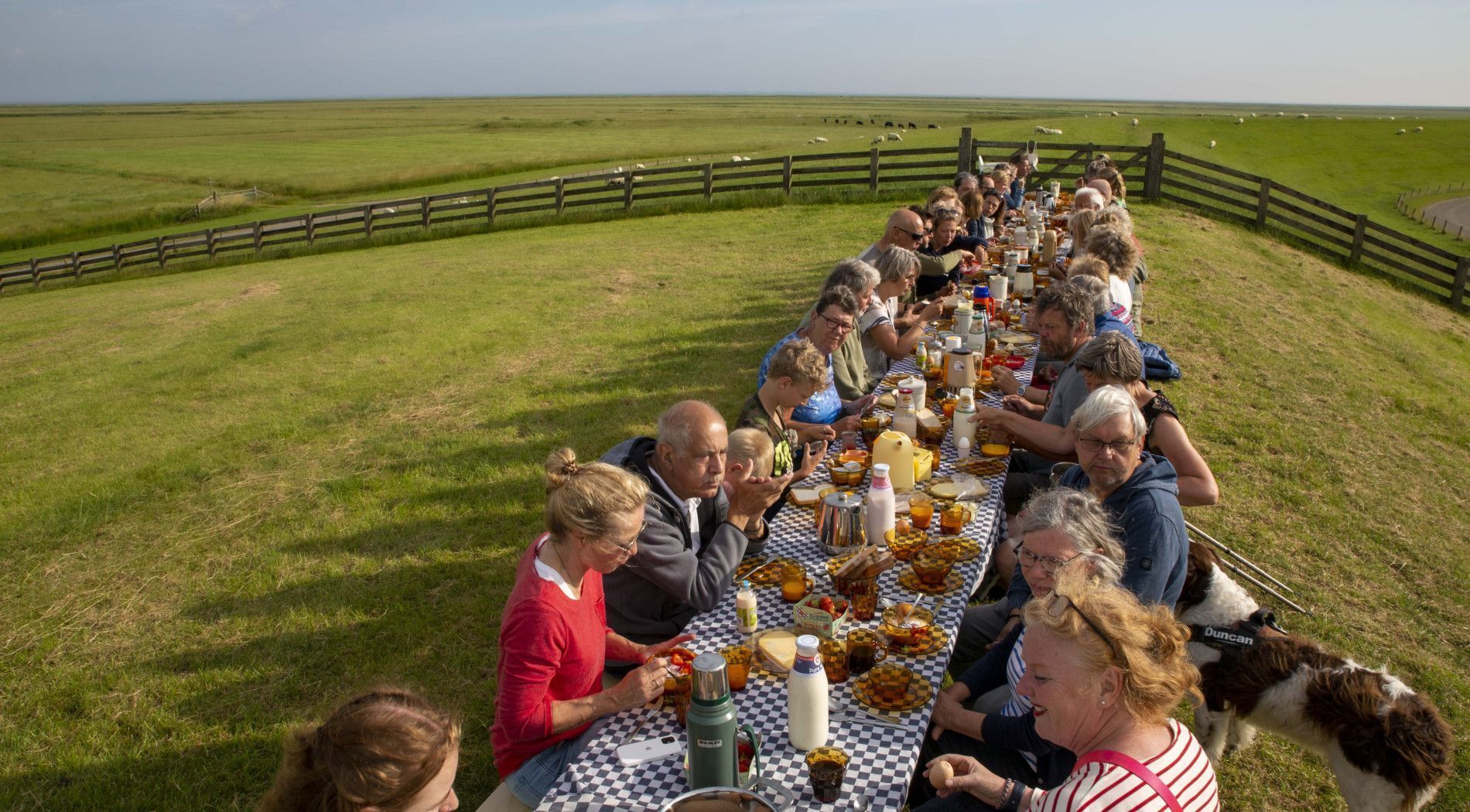 Dag van het Wad - VVV Ameland.nl