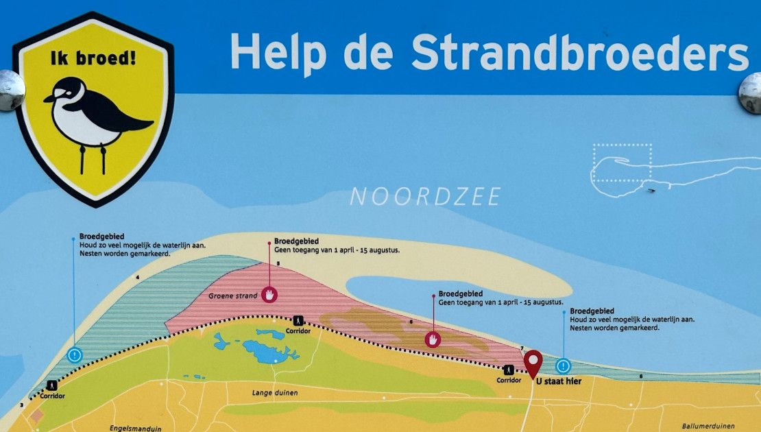 Strandbroeders - VVV Ameland