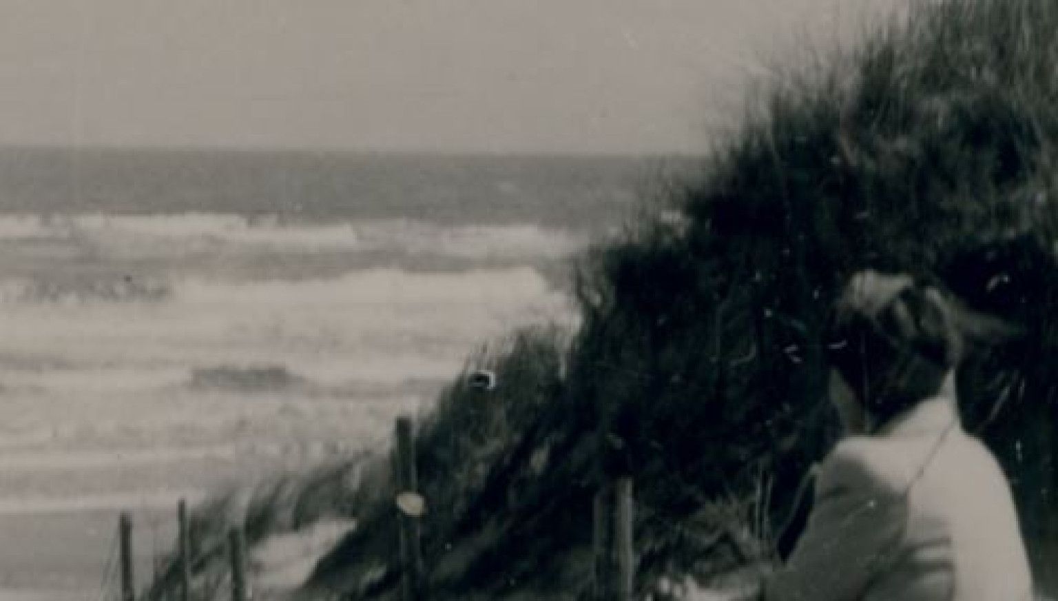 80 jaar bevrijding Ameland - VVV Ameland