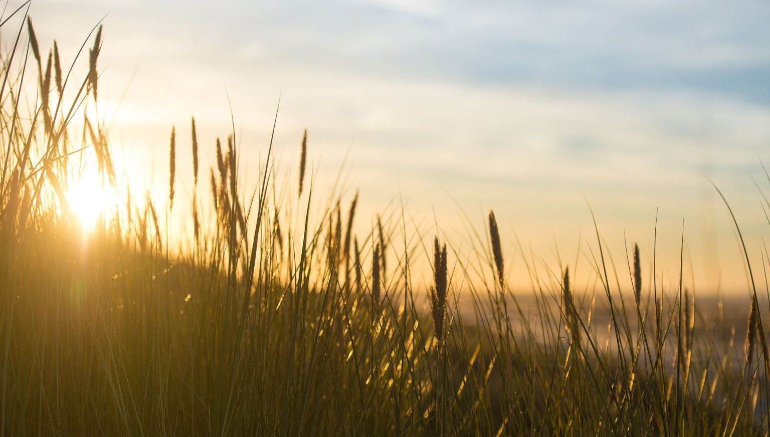 Ontdek de mooiste zonsondergangen op Ameland - VVV Ameland