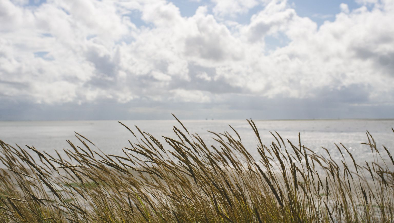 Podcast & tv-uitzending – oorlogsverhalen in woord en beeld - VVV Ameland