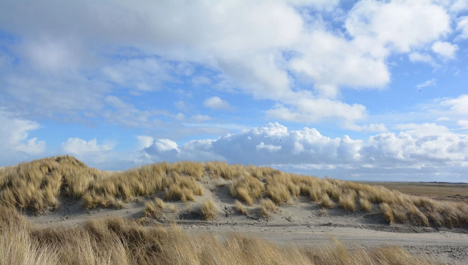 Dagje Ameland: Eilandgevoel in één dag - VVV Ameland