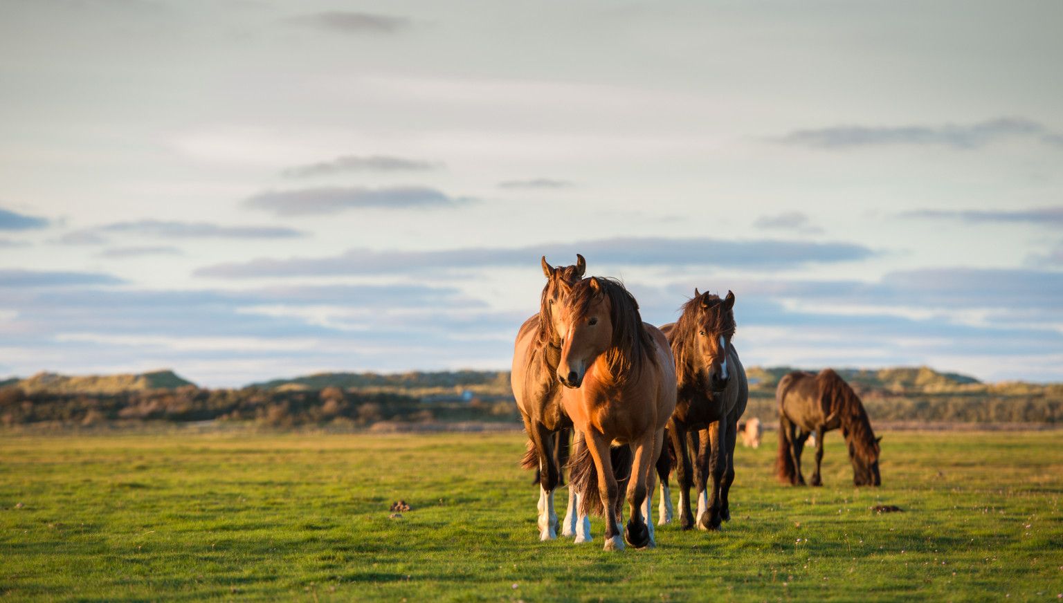 Herfstvakantie op Ameland - VVV Ameland