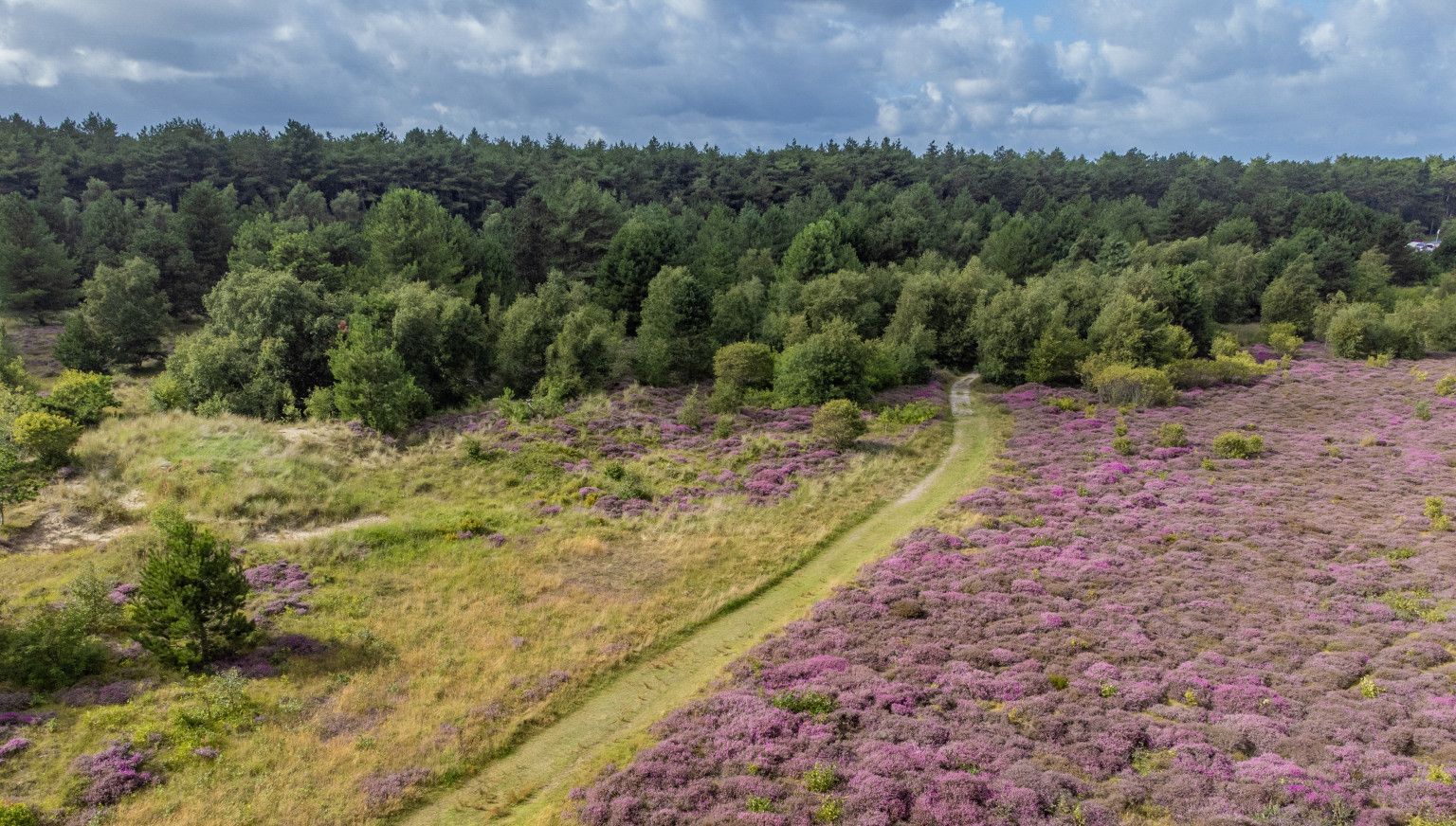 Meer informatie en handige downloads - VVV Ameland