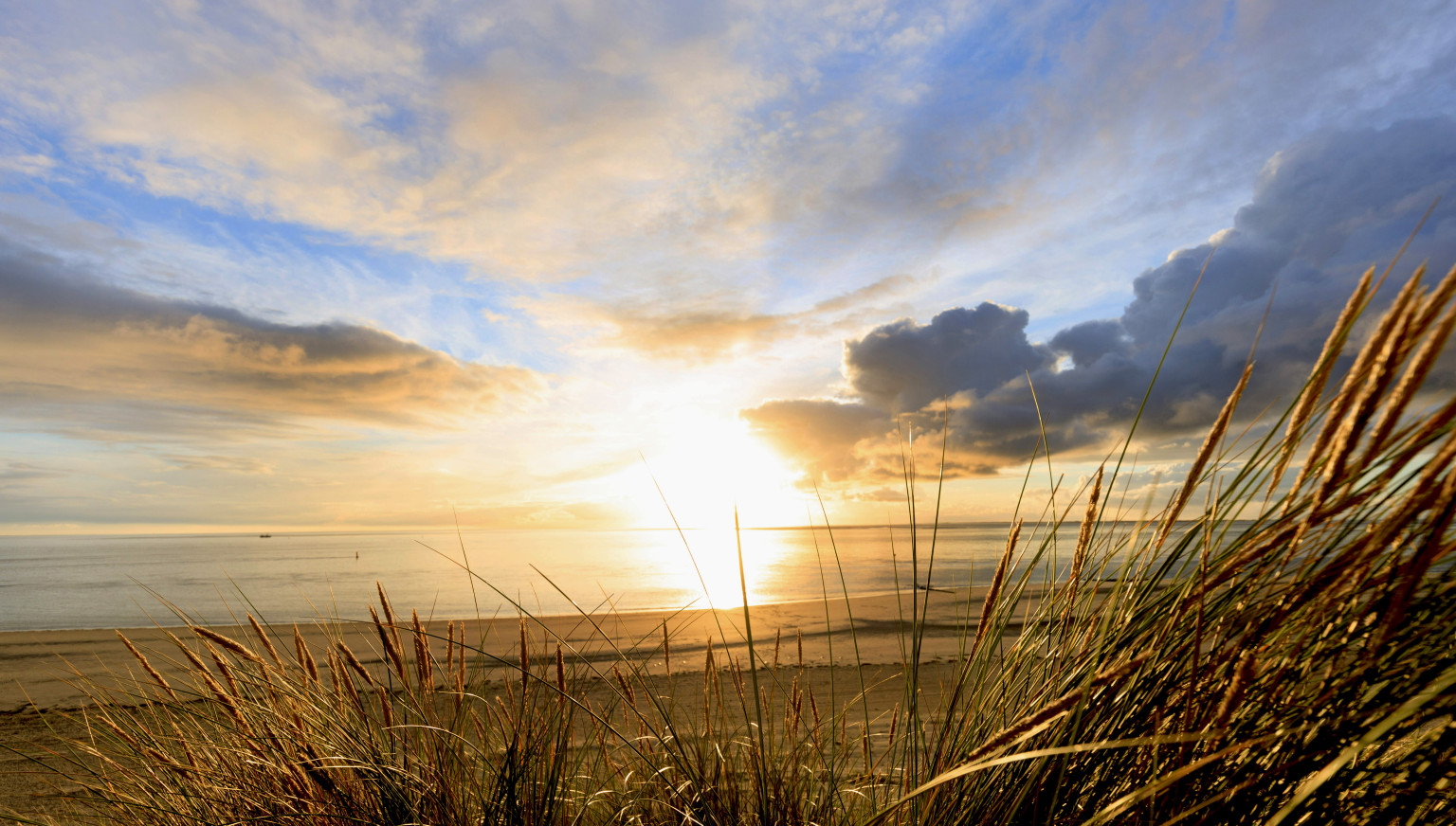 Zomerhitte op Ameland  - VVV Ameland
