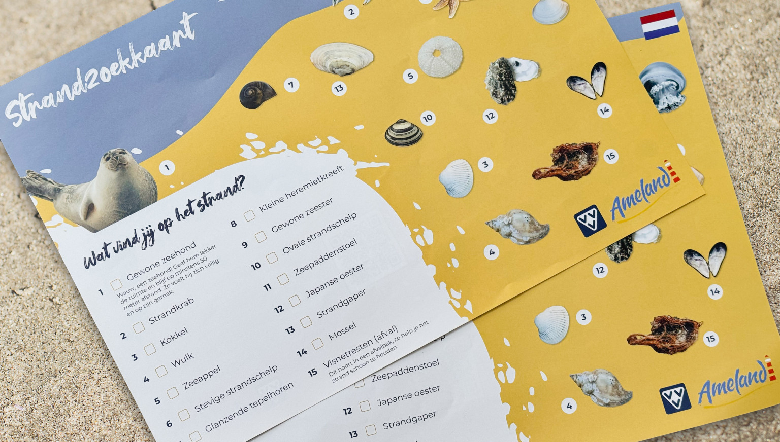 Wat neem je mee in je strandtas? - VVV Ameland