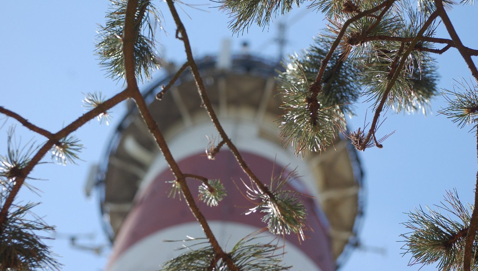 Hoog tijd voor de vuurtoren - VVV Ameland